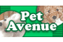 pet-avenue